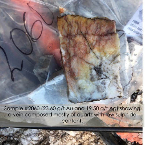 Figure 2: Sample #2060 (23.60 g/t Au and 19.50 g/t Ag) showing a vein composed mostly of quartz with low sulphide content.